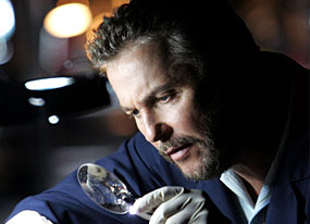 William Petersen, CSI William Petersen, CSI